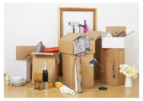 Professional Movers in Abu Dhabi