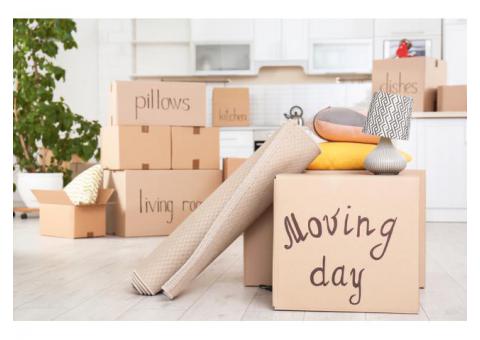 Professional Movers in Sharjah