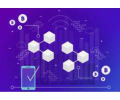 Are you looking for Blockchain Application Development Services