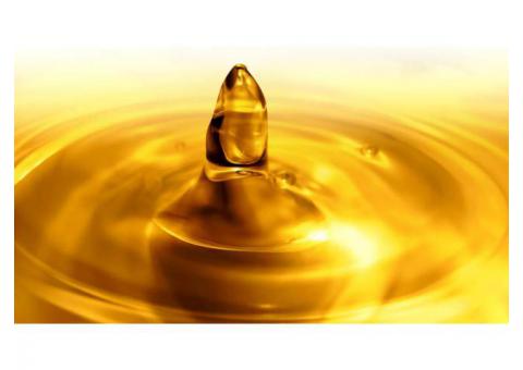 Continental Oils and Lubricants- The Best Lubricant And Oil Supplier In UAE