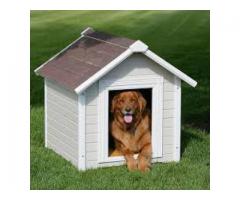 We Supply  Dog House, Pet House, Wood House, Fancy Dog House, CALL 055 2196 236