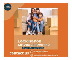 Movers in JVT Dubai 0501566568 , BlueBox Movers and Packers with close truck.