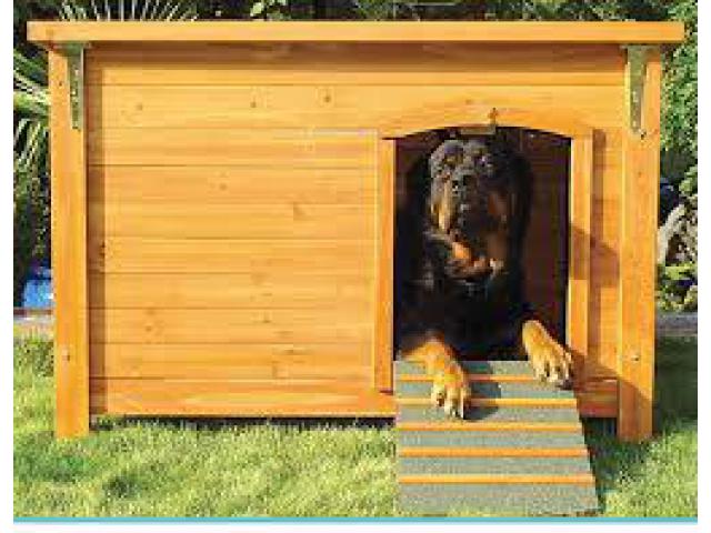 Dog House Supplier in UAE, CALL 055 2196 236