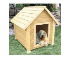 WM Dog house designer Factory, Dog House on Order, Call 055 2196236