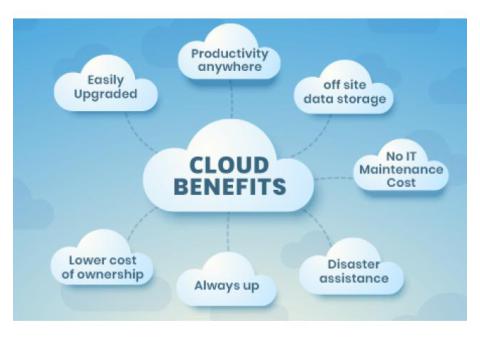 VAT Accounting Software with Cloud Hosting, Perfonec
