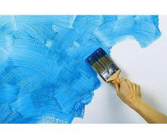 0501566568 Painting and Maintenance Company in IMPZ