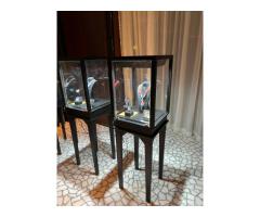 Creative Jewelry Display for Rent & Sale