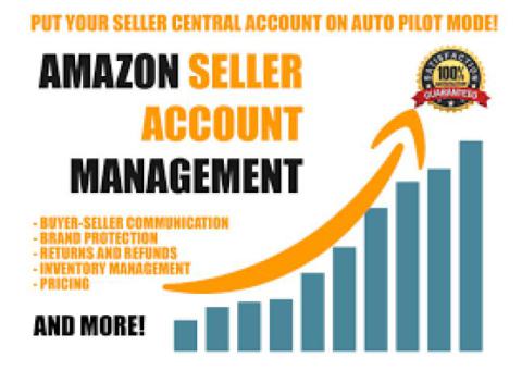 Enhancing Efficiency and Success: The Role of Amazon Seller Management Services