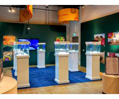 Rent a Jewelry Showcase in Dubai, UAE | For Events And Exhibitions