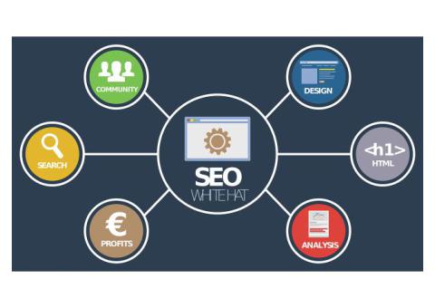 Affordable Small Business SEO Services | Get Rank First