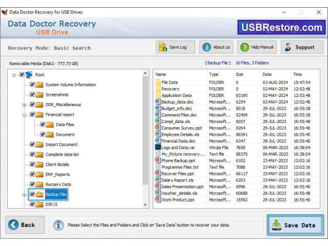 USB Data Restoration Software