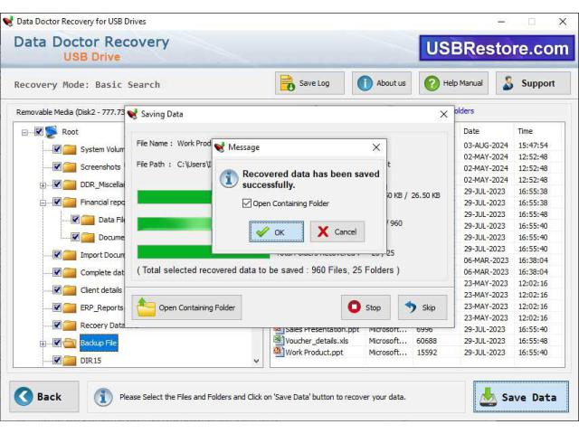 USB Data Restoration Software