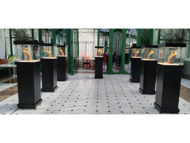 Luxury Jewelry Display Showcases for Rent – Perfect for Events & Exhibitions