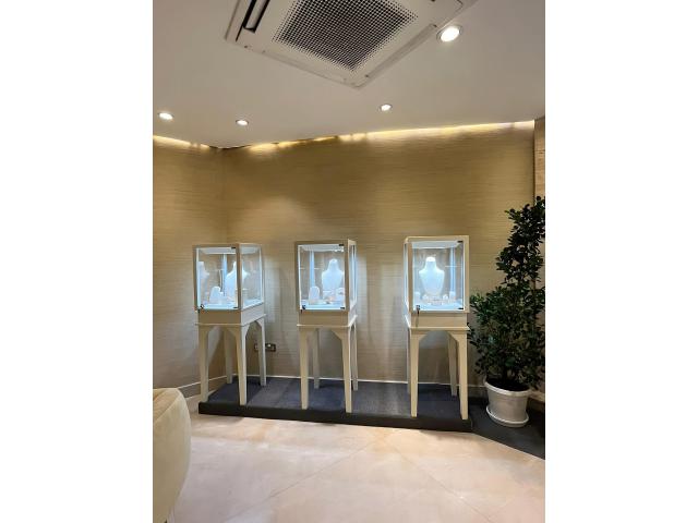 Luxury Jewelry Display Showcases for Rent – Perfect for Events & Exhibitions