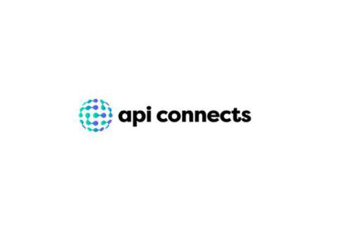 Benefits of Hiring Software Developer from API Connects