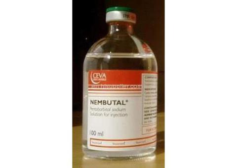 We are the best legitimate suppliers of Nembutal