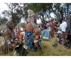 TRADITIONAL HEALER [+2776’4410’726]SANGOMA in Modimolle, Zebediela, Senwabarwana, Dendron,