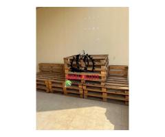 0555450341 pallet wooden