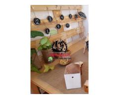 Wooden pallets 0555450341