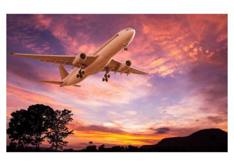 What Airlines Use Boeing