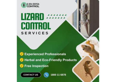 Effective Pest Control Lizard Treatment for a Lizard-Free Home