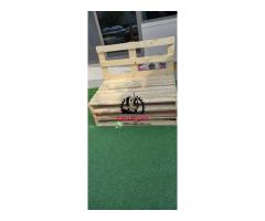 0555450341 pallet Dubai