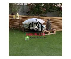 0555450341 pallet Dubai