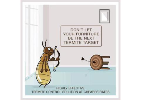 Affordable Termite Control in Patna – Book Expert Services Today
