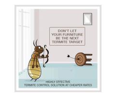 Affordable Termite Control in Patna – Book Expert Services Today