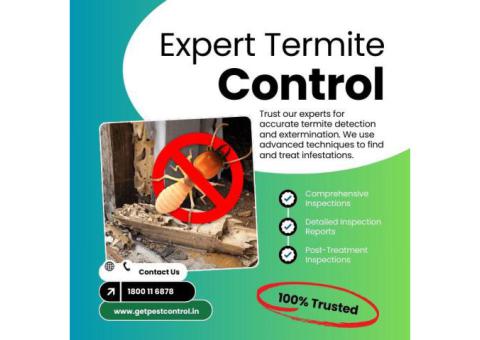 Best Termite Control Company in India – Get Pest Control