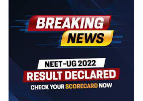 Stay Ahead of the News with Verified Updates Daily Only from BreakingNews 