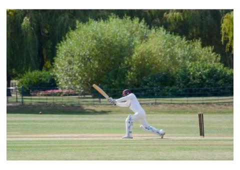 T20Match presents live match details, which let users explore every aspect