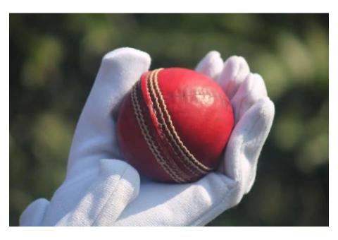 T20Live Provides Useful Insights to Bring the Game Closer