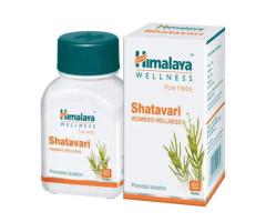 Top Solutions by Bizmart Commerce for Trusted Nutraceutical Manufacturers in India