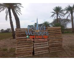 0507330544 wooden pallets