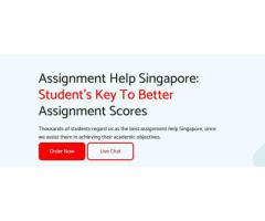 Assignment Help Singapore