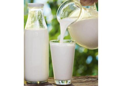 Fresh Milk Guide: Benefits, Storage Tips & Nutritional Value