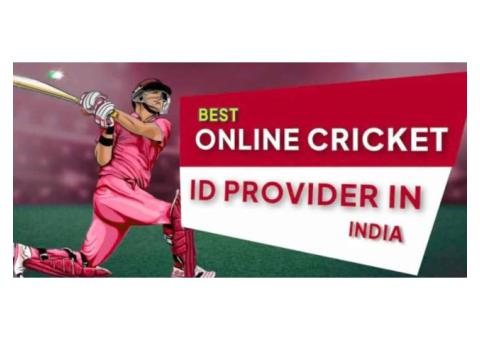 What Is Cricket ID Online and How Does It Work?