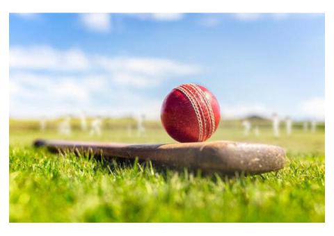 Get Real-Time Cricket Updates on BallyBall !