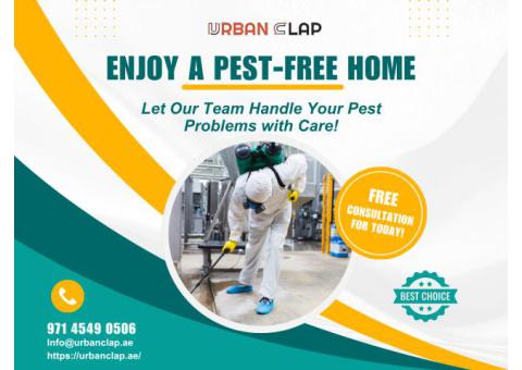 Top Pest Control services in Dubai International City