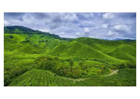 Cameroon eVisa for Bosnia and Herzegovina Citizens