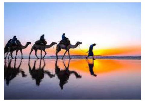 Palma Quad – Quad Tours & Adventure in Essaouira
