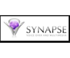SynapseTalent / 1