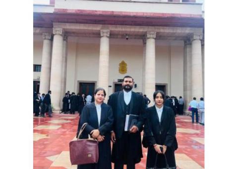 Professional Matrimonial Lawyer Services