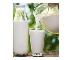 Goat Milk in Dubai: Benefits, Uses, and Top Places to Find It