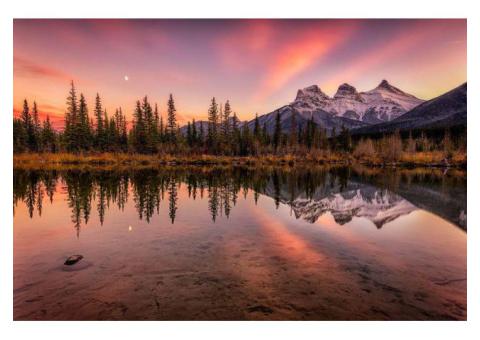 Looking for a complete Bollywood movie guide?