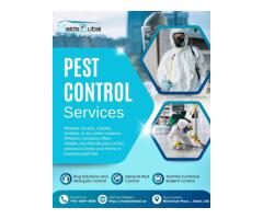 Expert Pest Control & Disinfection in Dubai