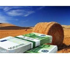 WE OFFER LOANS WITHIN 24 HOURS APPROVAL GUARANTEED