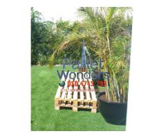 0504745792 pallets wooden