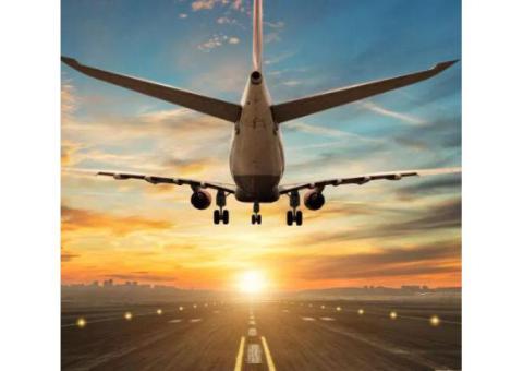 Easy Trip Booking with Flighta